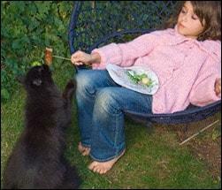 Cat Eating Homemade Food