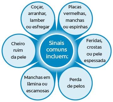 Common signs of dental disease
