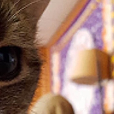 initial thumbnail