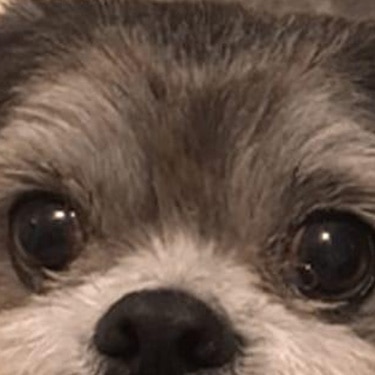 initial thumbnail