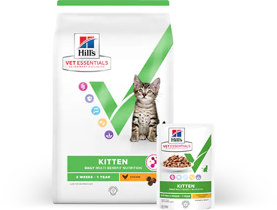 One bag of Hill's Vet Essentials Multi-Benefit dry and wet kitten food_PT