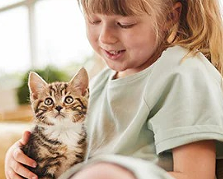 Girl With Happy kitten on her lap_PT