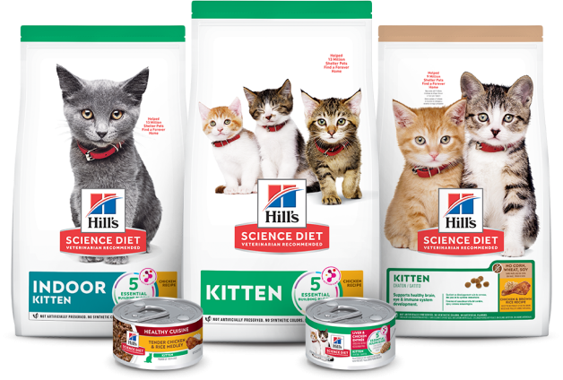 Three bags of Hill's Science Plan dry and wet kitten food_PT