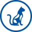 Muscles icon_PT