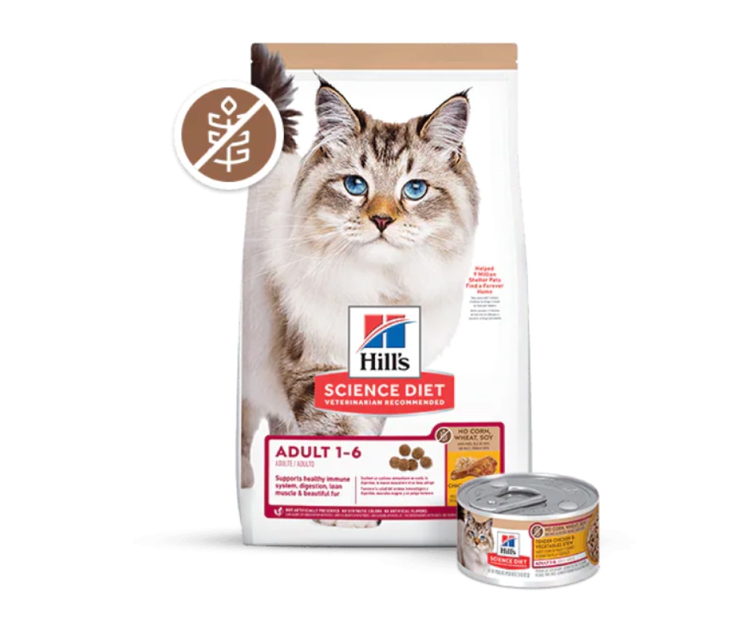Alimento científico leve e com peso ideal para gatos