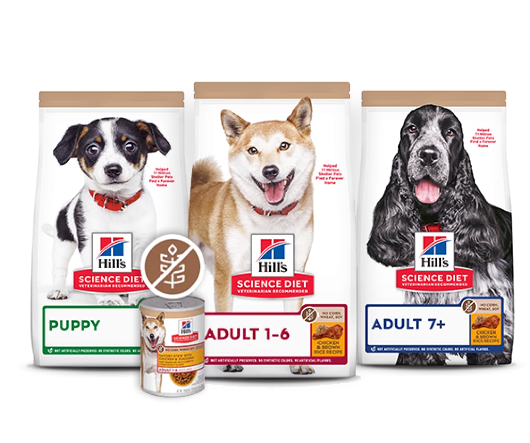 Alimentos para cães sem milho, trigo ou soja