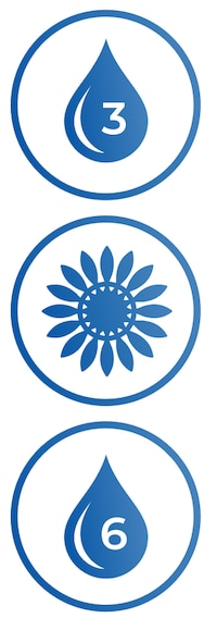 Ícone de ômega 3, flor, ômega 6