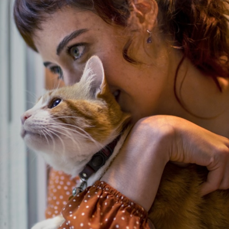 Mulher de suéter laranja segurando um gato de estimação